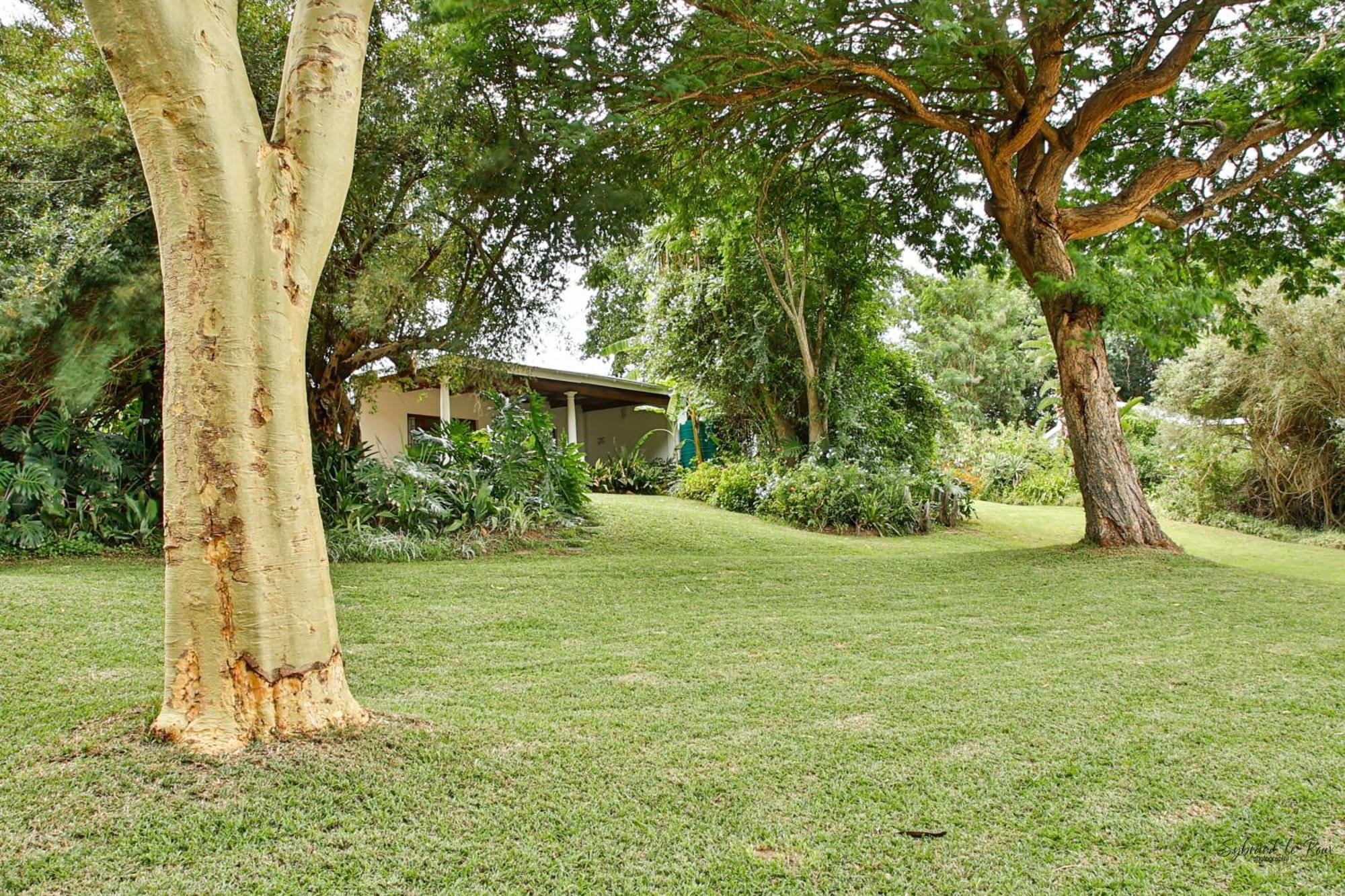Ndlovu Addo River Lodge Kirkwood ภายนอก รูปภาพ
